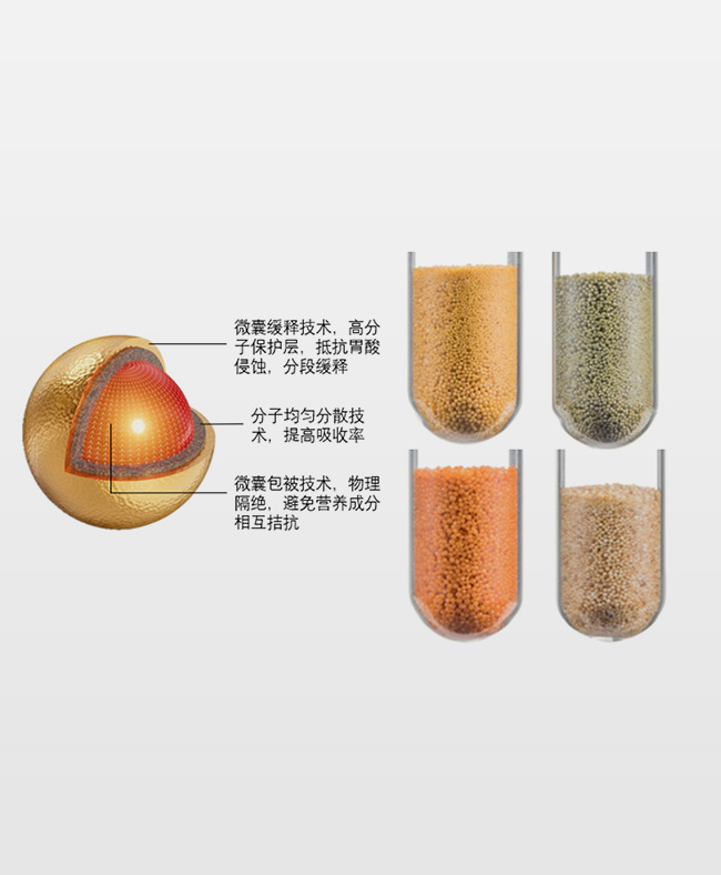 N&D晶球